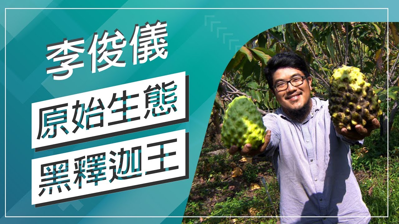 草地狀元-原始生態黑釋迦王(20180430播出)careermaster