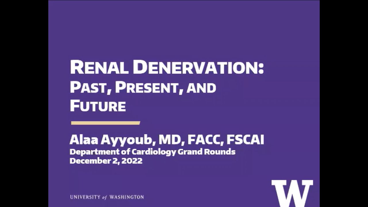 Updates on Renal Denervation