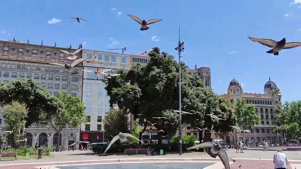 Pl. Catalunya, Barri G&ograve;tic & El Born - (Barcelona 2021)