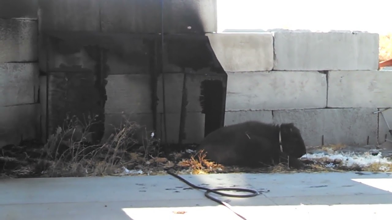 Время историй БумБум