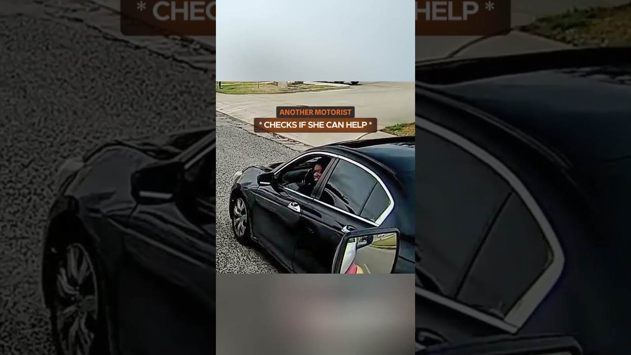 Gangster Women Goes on a Wild Meltdown 😳 #truck #instantkarma #idiotsincars #dashcam