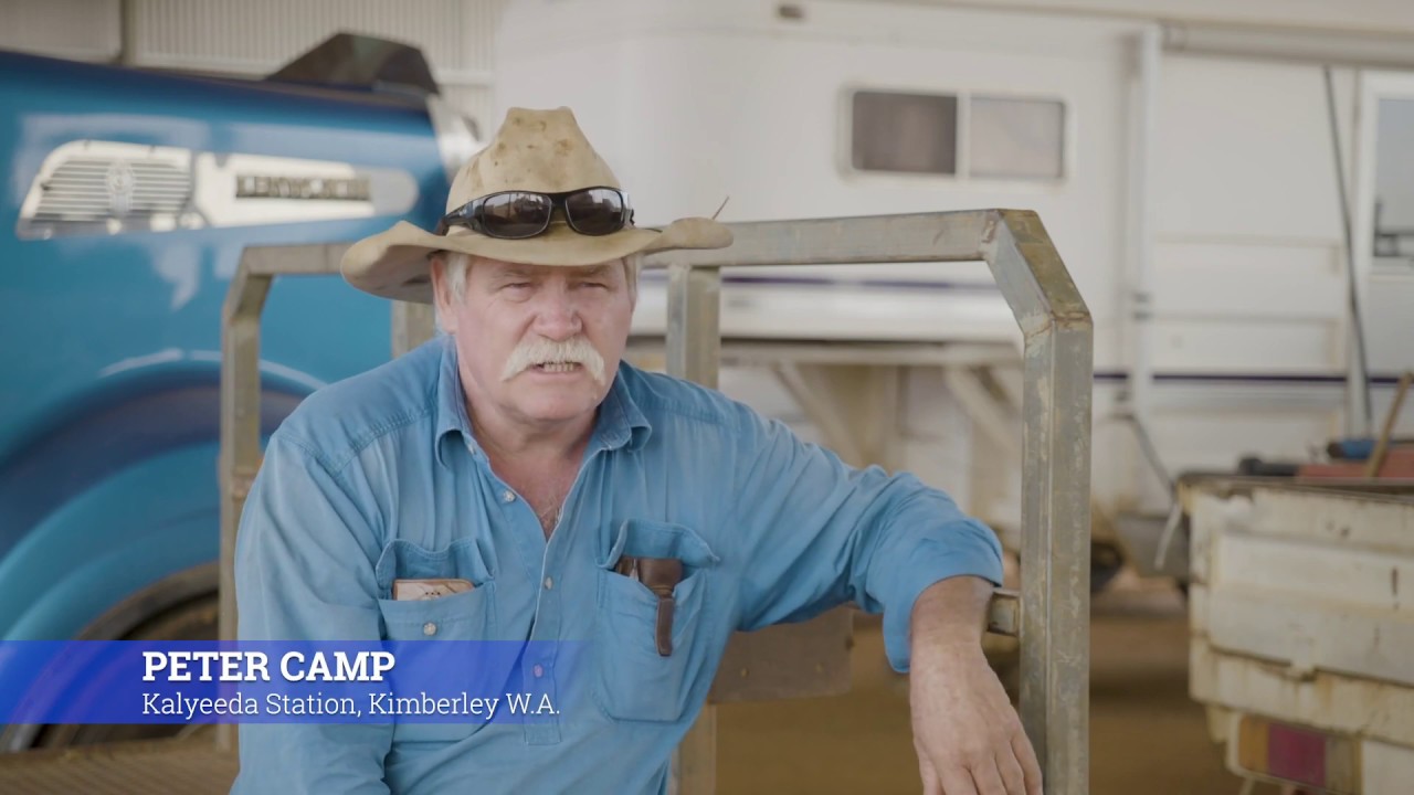 Water Harvesting Solutions for Kalyeeda Station with Peter Camp - Pioneer Water Tanks