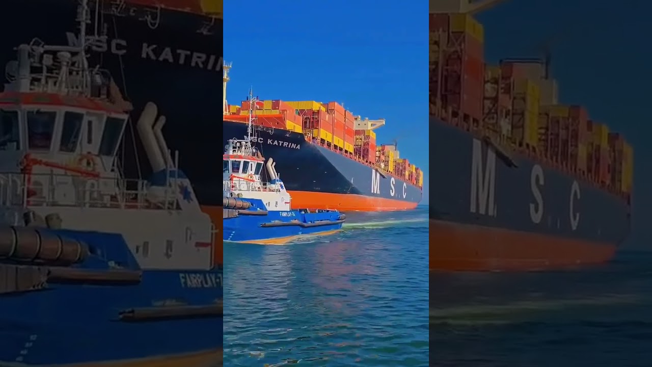 MSC KATRINA IN ADANI PORT 😱😱 #trending #viral #shorts