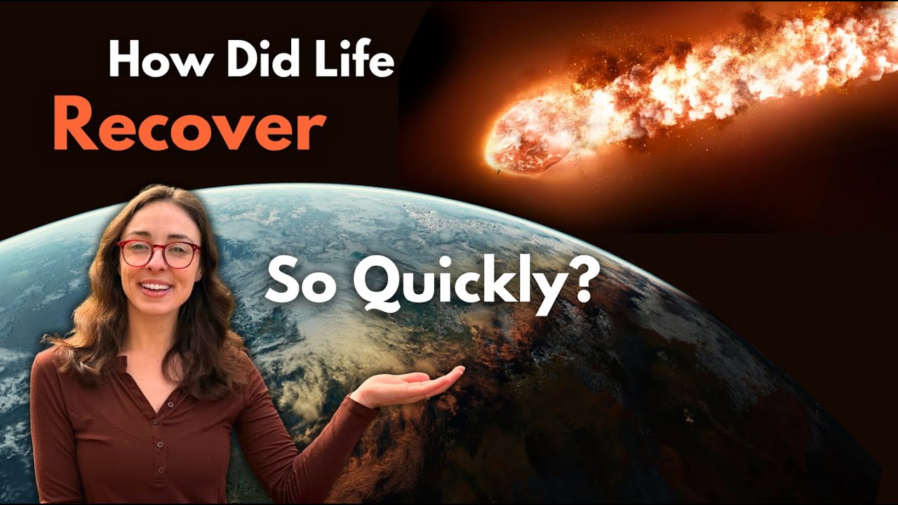 New Estimate of How Fast Life Recovered After the Impact that Wiped Out Non-Avian Dinosaurs