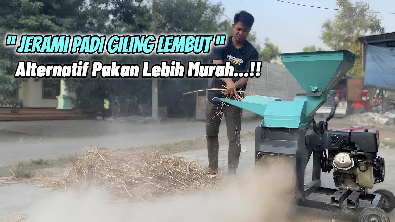 Uji Coba GILING JERAMI PADI || pakai Choper ini Kebutuhan dan Hasil memuaskan