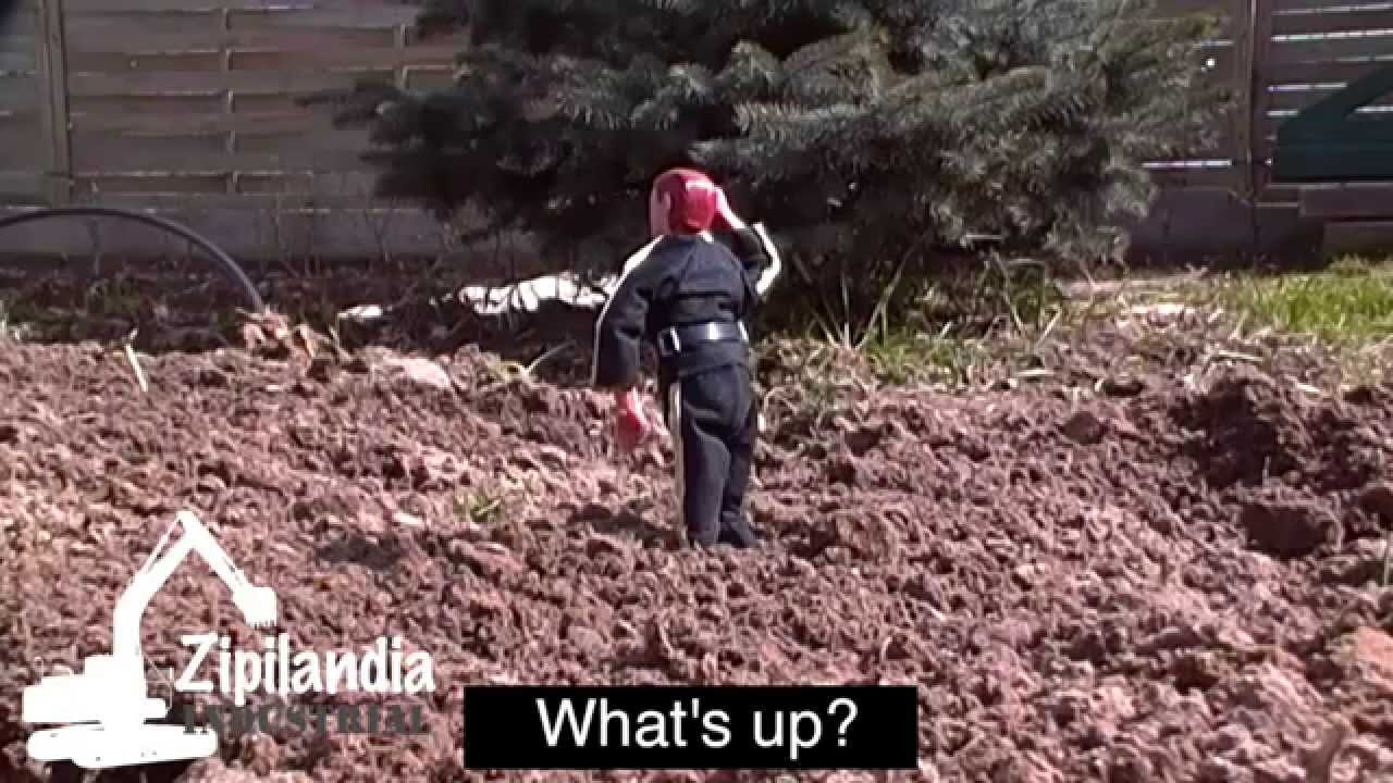 One day from living in the city Zipilandia / Dubbing PL Subtitles EN