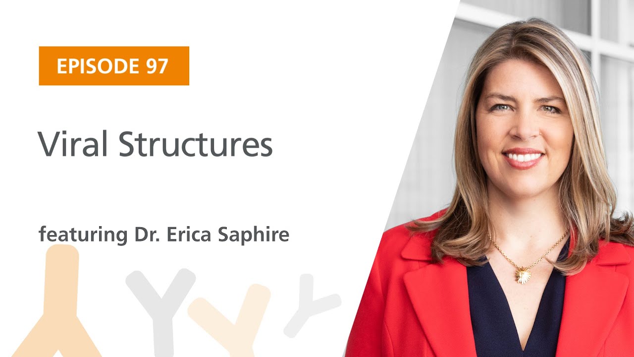 Viral Structures featuring Dr. Erica Saphire | The Immunology Podcast