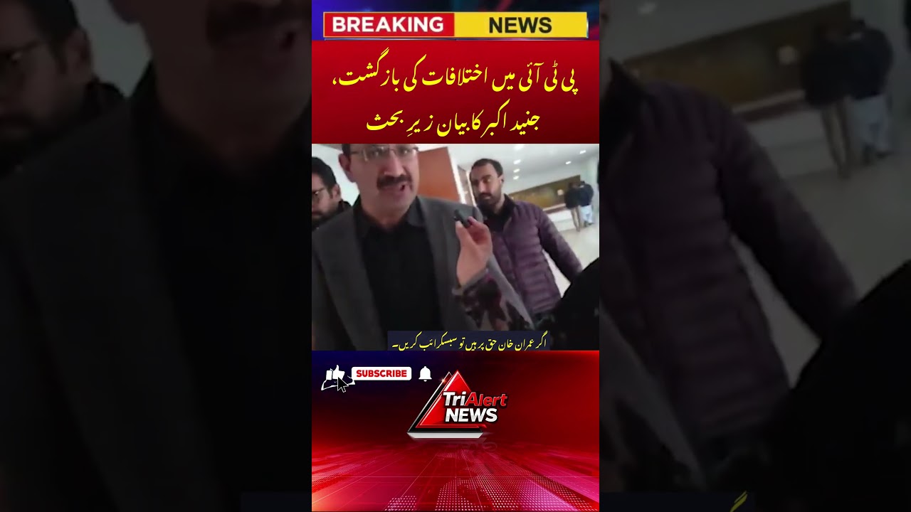 PTI internal differences spark debate #imrankhan #ptiworkers #pti #viral