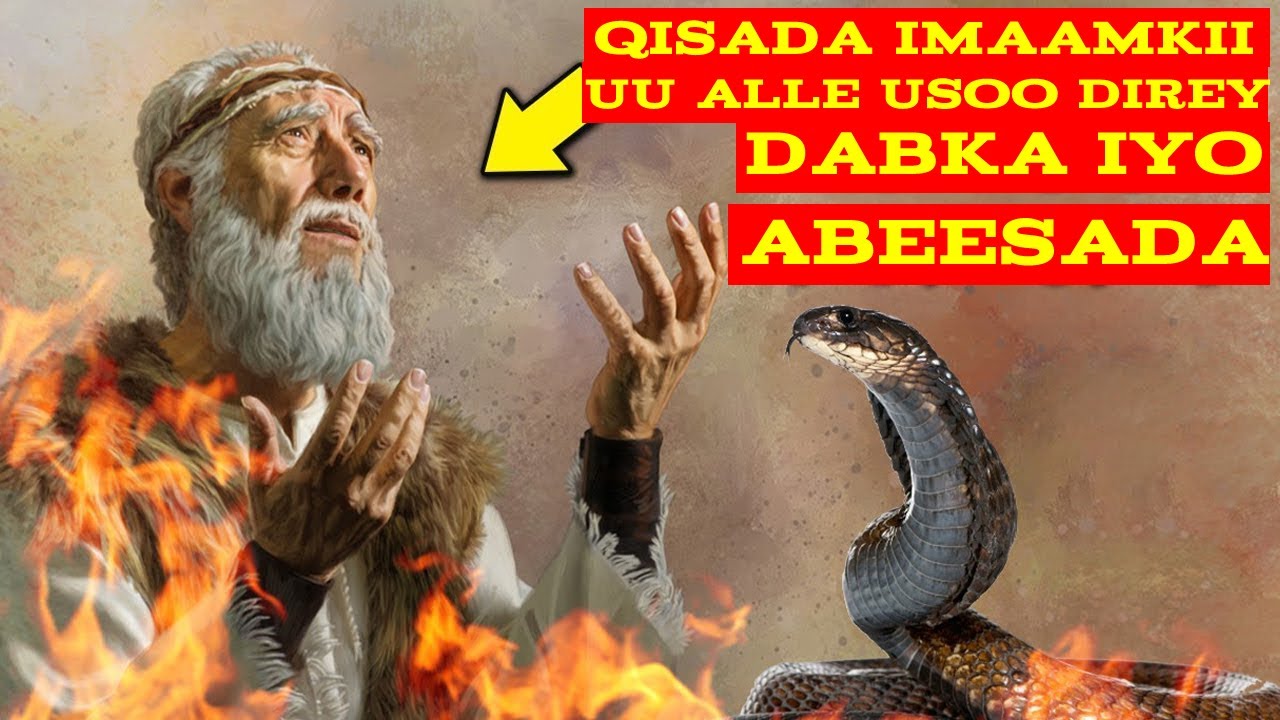 qisada imaamkii alle dhulka dab uga soo saarey oo mas weynin badana u soo direy si uu u cadaabo