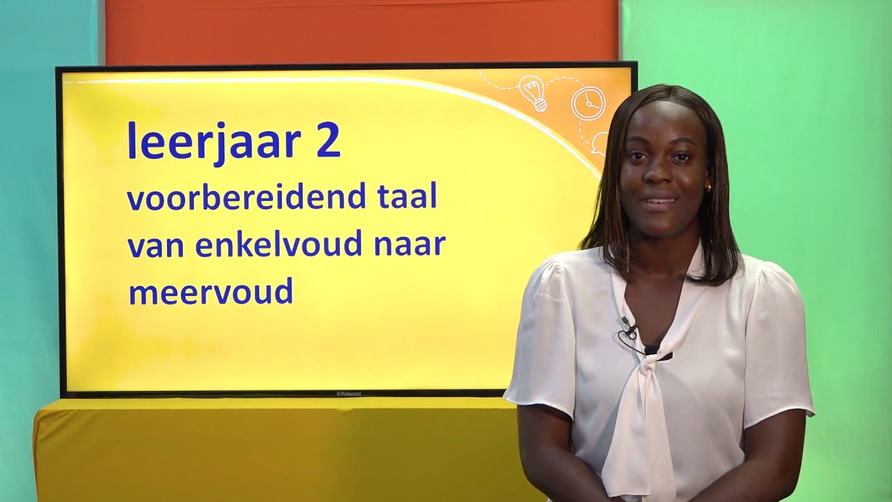 Leerjaar 2 Enkelvoud naar meervoud
