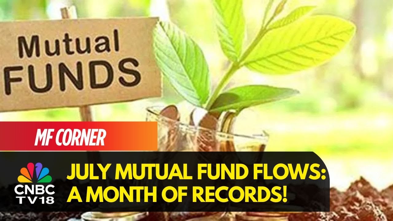 Equity Mutual Fund Inflows At Record ₹42,672 Crore In July 2025, 30 NFOs Collect ₹30,400 Crore