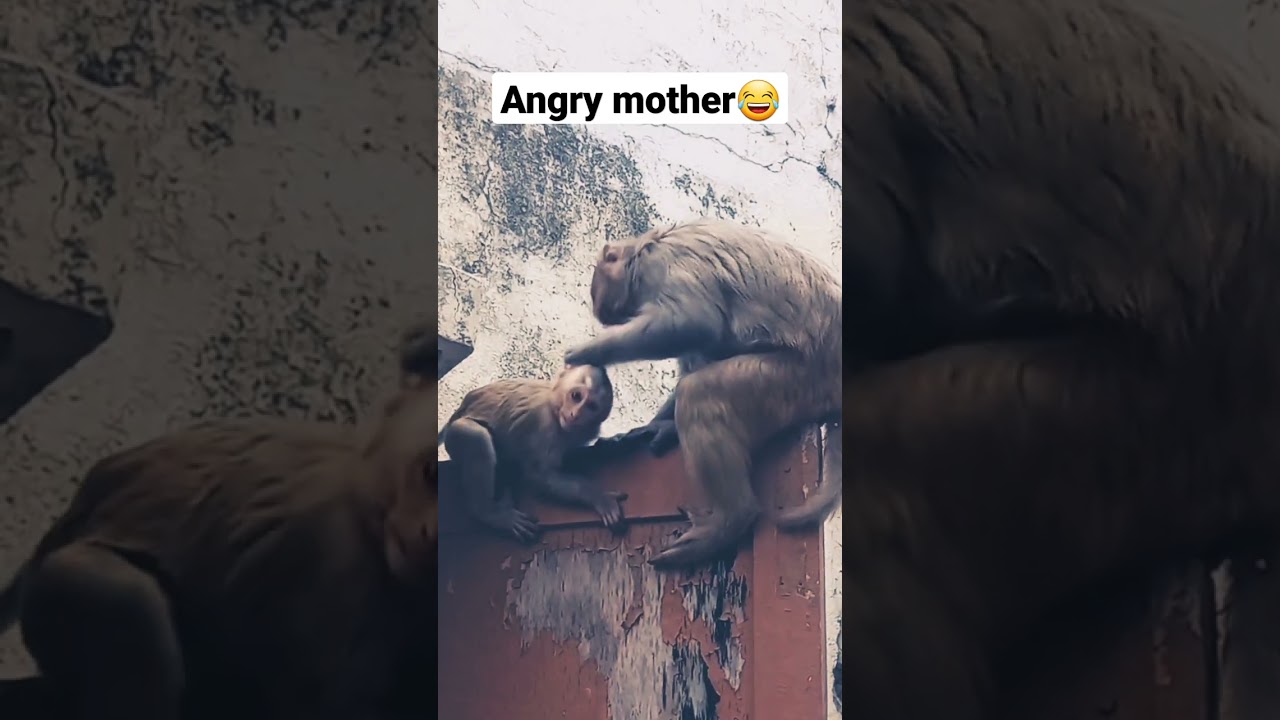 angry mother with his naughty kid 