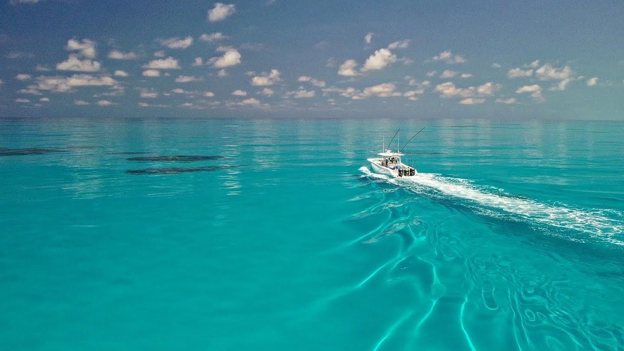 42' Yellowfin in the Bahamas