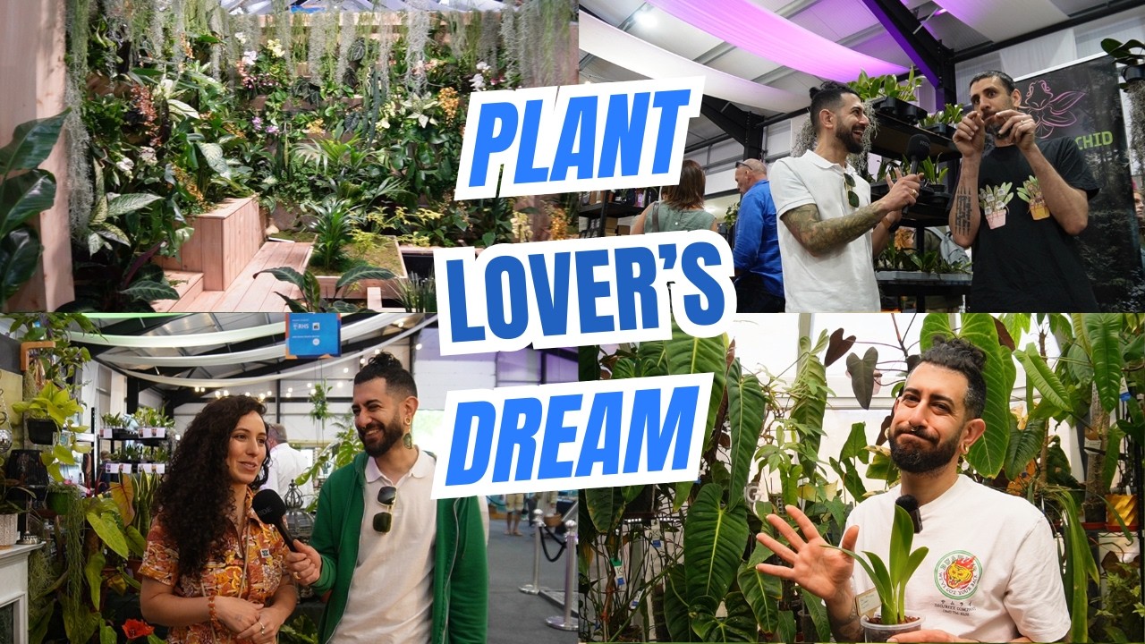 💚 ПЕРВЫЙ ВЗГЛЯД: Экскурсия по комнатным растениям Malvern RHS 2025 + распаковка мини-орхидеи!