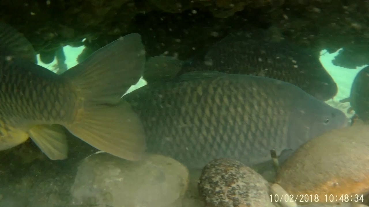 Il mio Fiume Adda