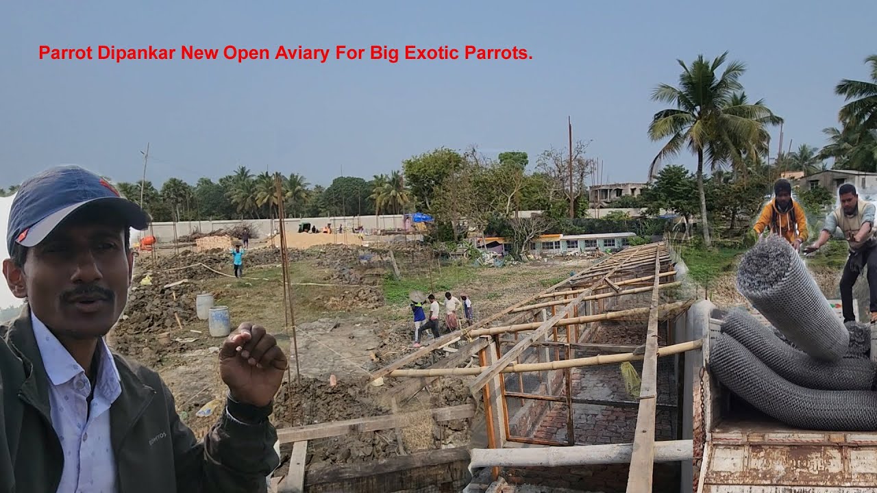 Large Comfortable Open Aviary For Small And Big Size Exotic Birds / Parrot Dipankar New Open Aviary.