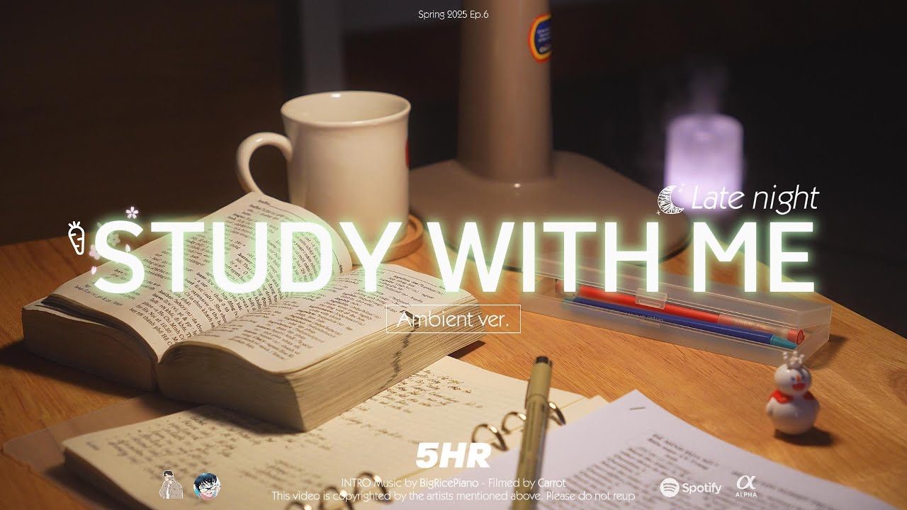 5-HOUR STUDY WITH ME | Ambient ver.🌿, Fire Crackle | Pomodoro 25-5 | Late night🌙🐍️🎉
