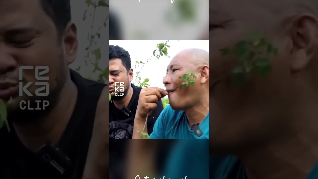 jangan ya dek ya ular weling berbisa 