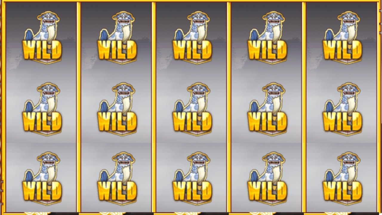 Kakiemon WON 💲 5000 💰💰🤑💵🥳
