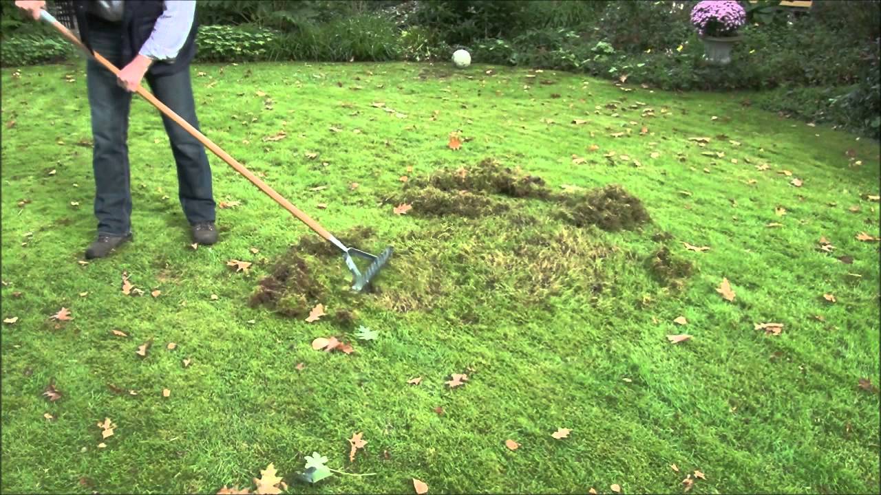Tuinprofessor - Verticuteerhark