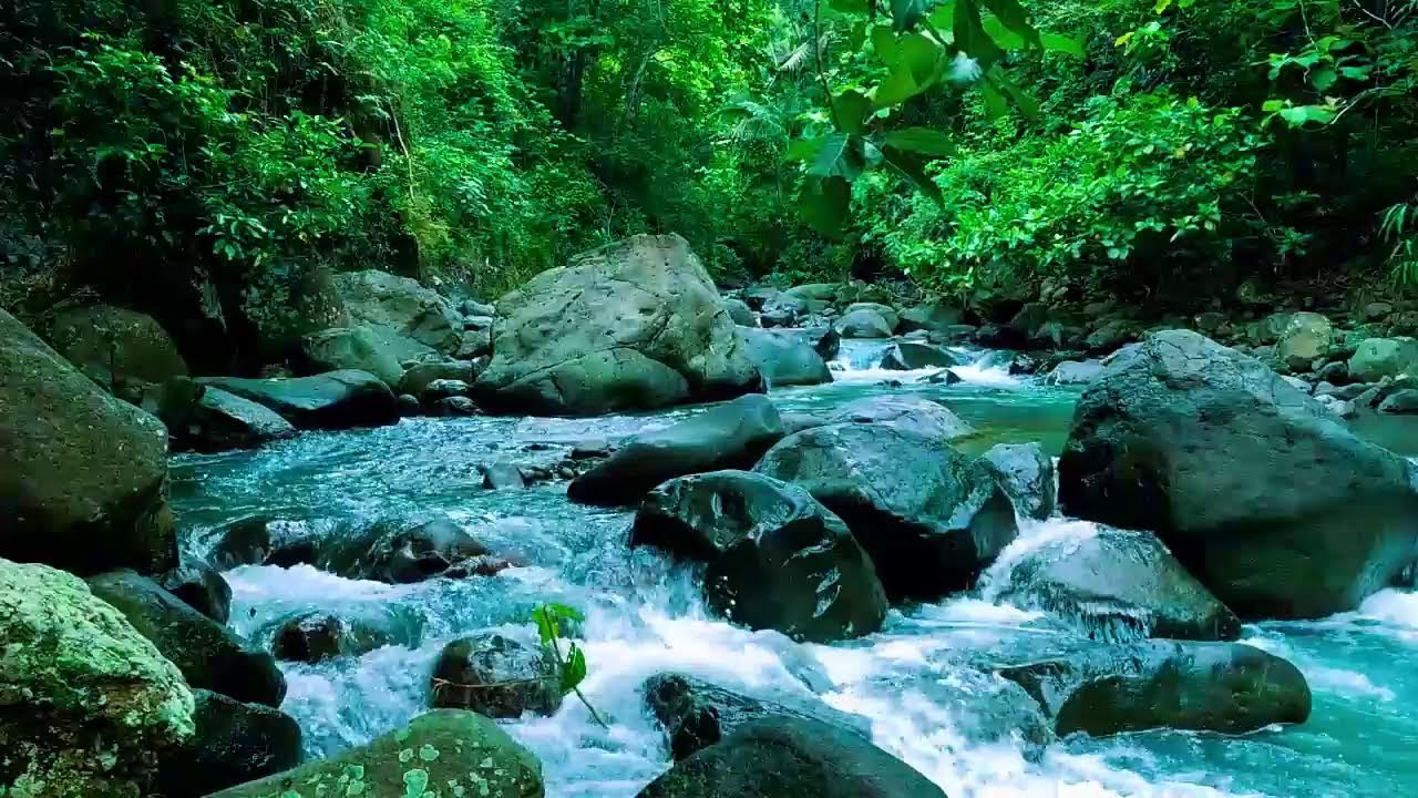Mountain stream flowing - Forest river stream - Flowing water - white noise for sleeping