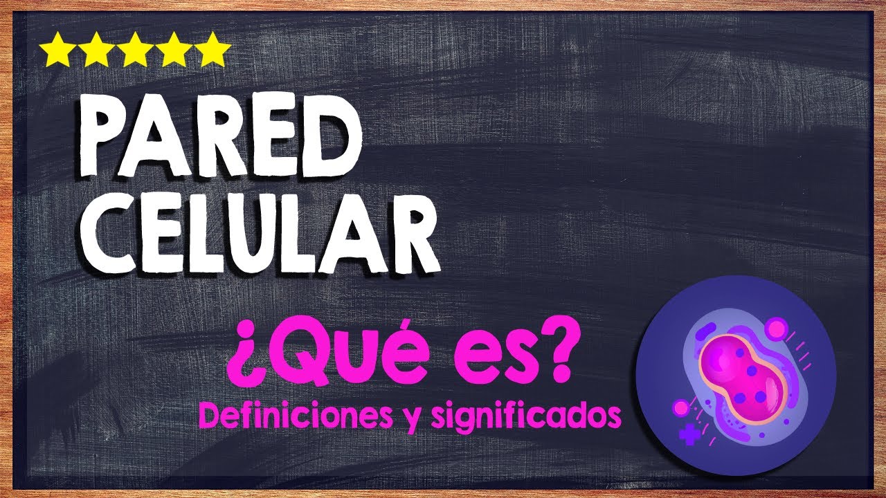 🙏 &iquest;Qu&eacute; es la Pared Celular? - Conoce una de las Partes m&aacute;s Importante de la C&eacute;lula 🙏