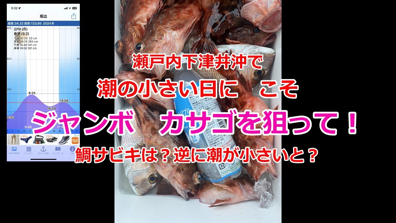 潮が小さい日にジャンボカサゴ狙って　おまけで鯛サビキ＃カサゴ＃鯛サビキ＃鯛釣り