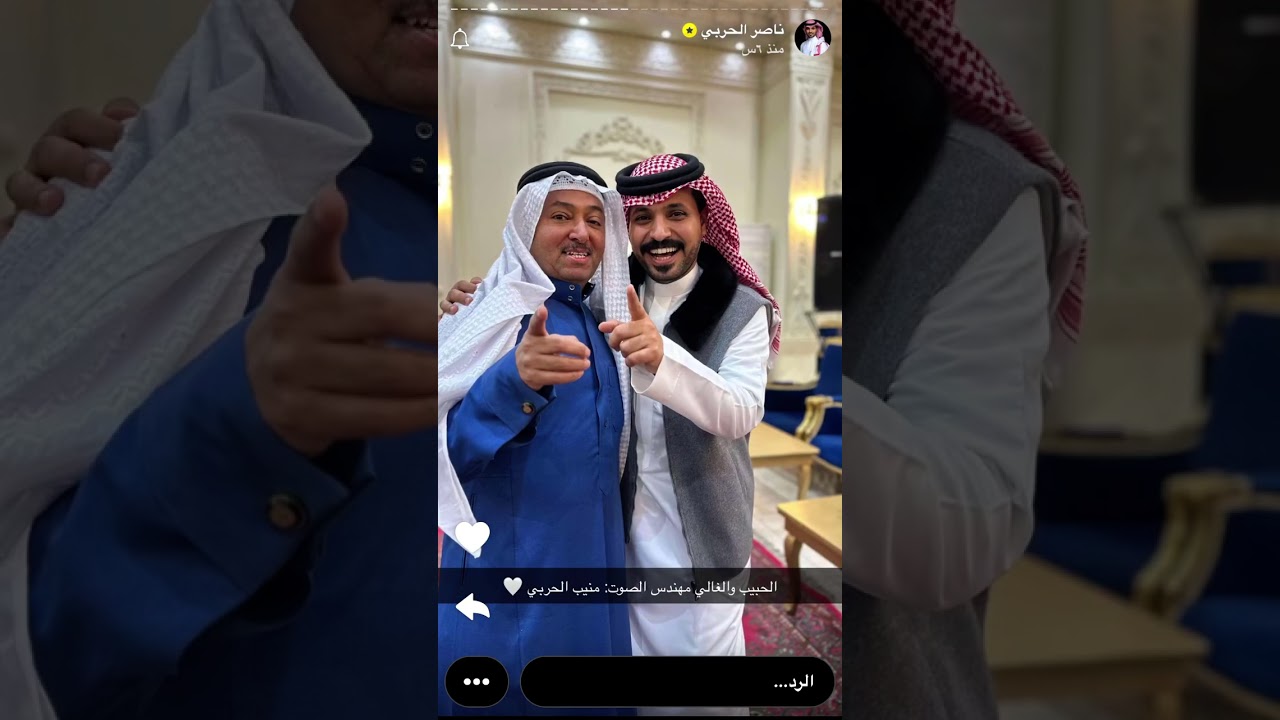 سنابات ناصر الحربي  ١٨ يناير، ٢٠٢٦
