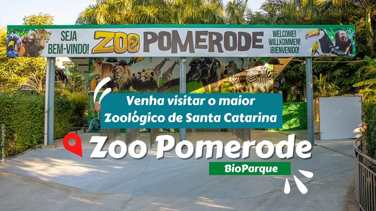 Zoo Pomerode BioParque | Conheça o maior Zoológico de Santa Catarina