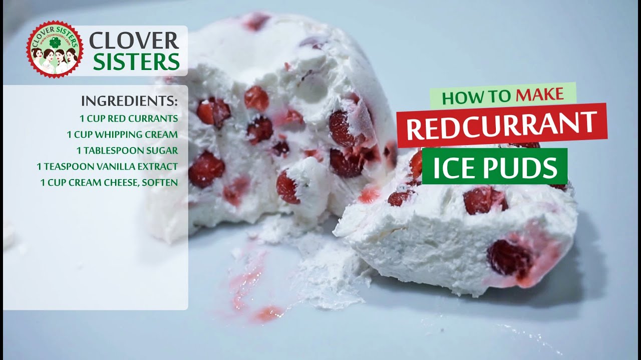 Redcurrant ice puds
