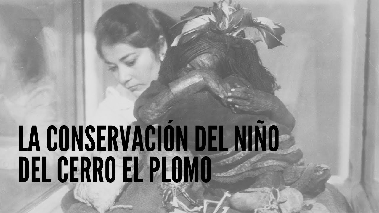 Conservación del Niño del Cerro El Plomo - Nieves Acevedo, 2014