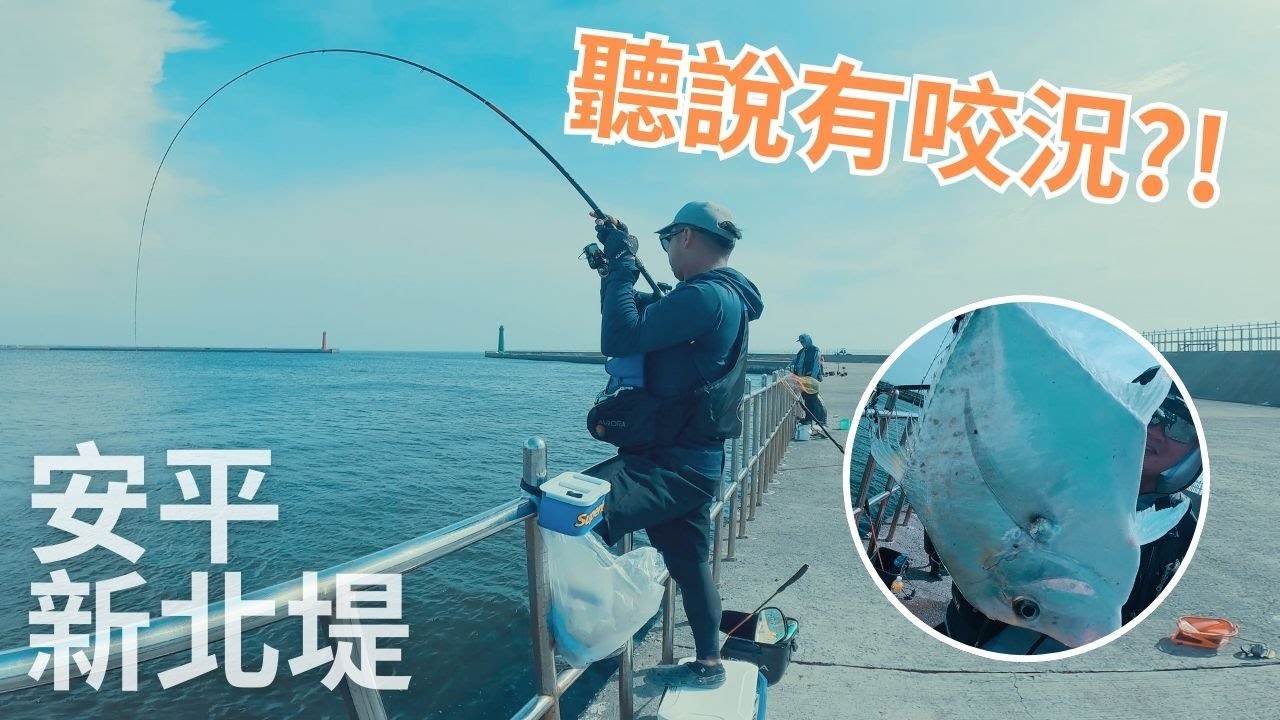 聽說安平新北堤有咬況！趕快來釣看看是什麼魚！#腫哥 #fishing #磯釣