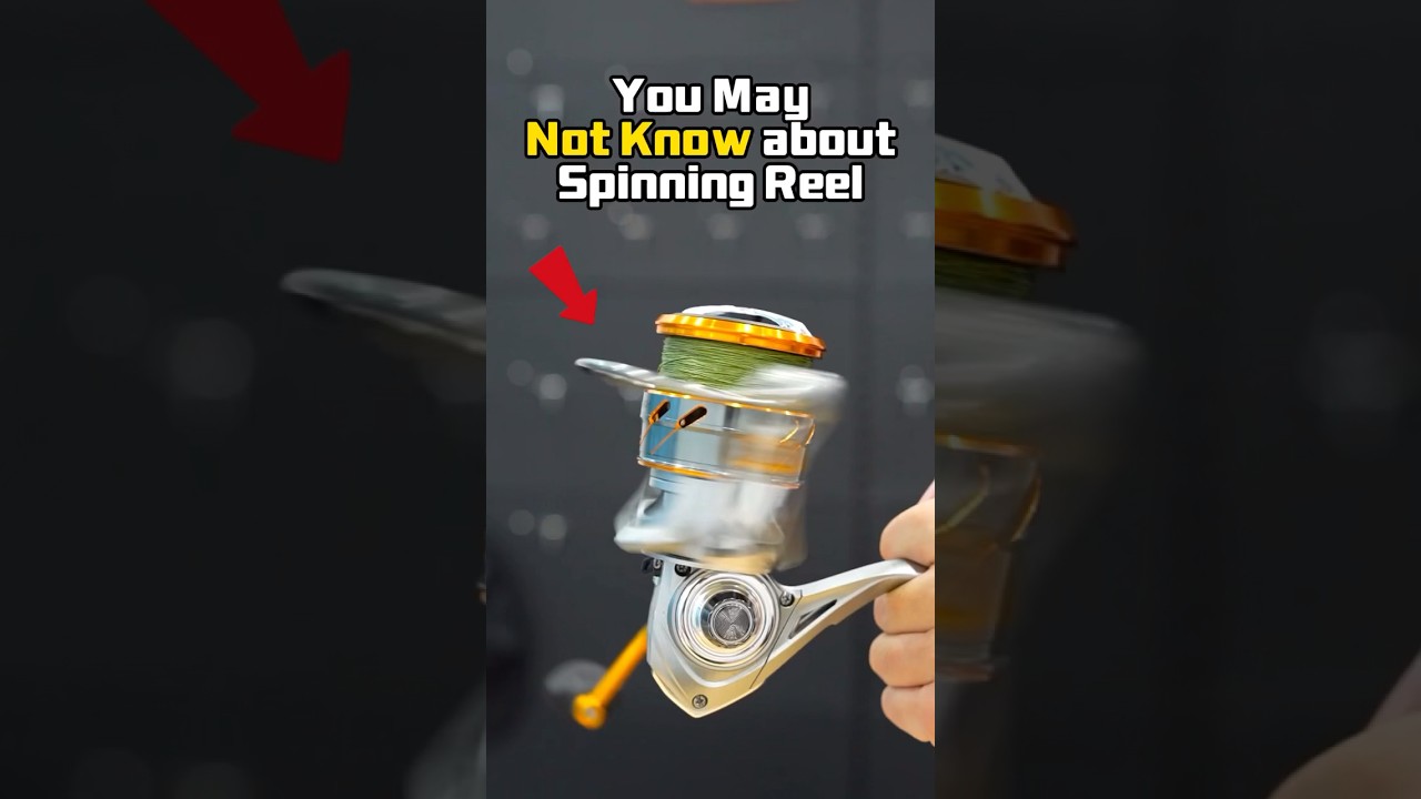 4 things you may not know about spinning reel 