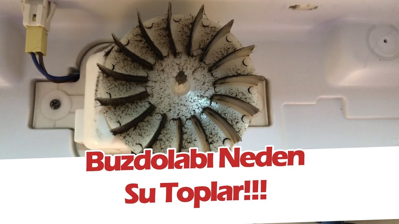Arçelik Buzdolabı Sebzelik Kısımda Su Neden Birikir! Buzdolabında Su Neden Birikir!