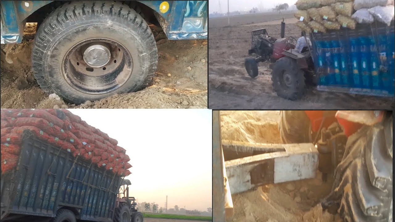 Arjun 555 trolley phas gayi 🚜 #yt #potatofarming #trending 