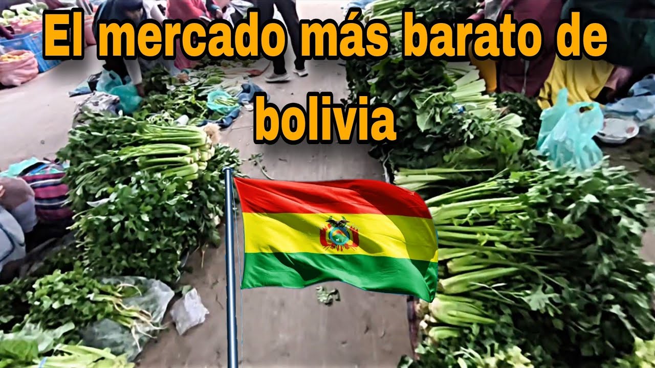COMPRANDO EN EL MERCADO MAYORISTA ABASTO EN SANTA CRUZ BOLIVIA