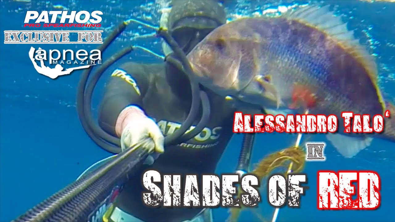 Shades of Red - Spearfishing Dentex and Red Porgy with Ale Tal&ograve; & PathosSub