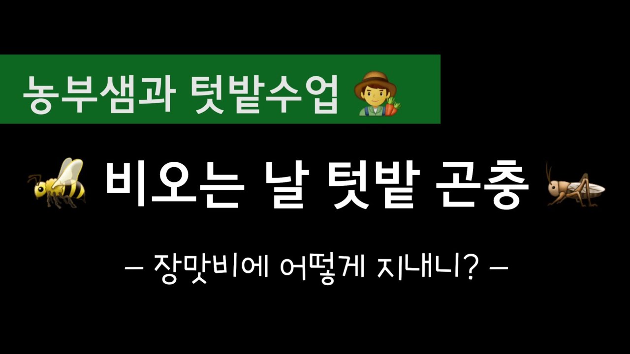 비오는 날 텃밭에서 볼 수 있는  곤충 10종 | 특수학교 수업 자료 | 농부샘