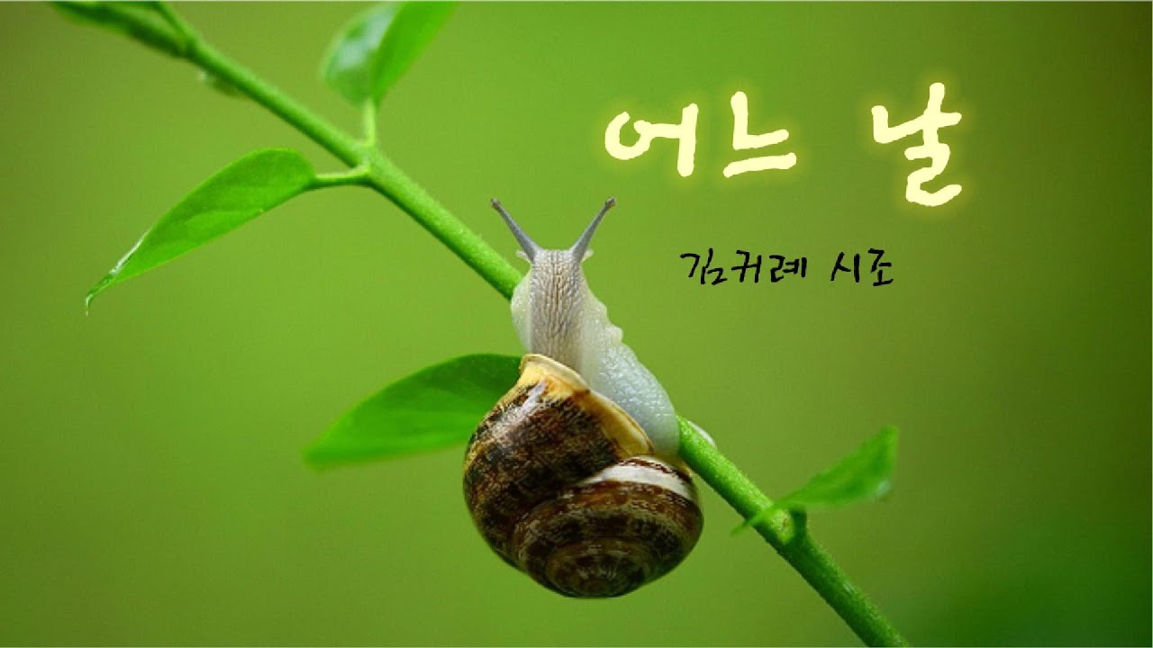 시조노래 | 어느 날 – 김귀례 시조 | Someday
