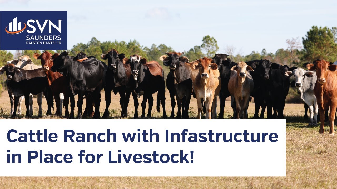SOLD: McGee East Ranch | 1,058 ± AC | Hunting & Recreation | Ranch | Equestrian | Bronson, FL