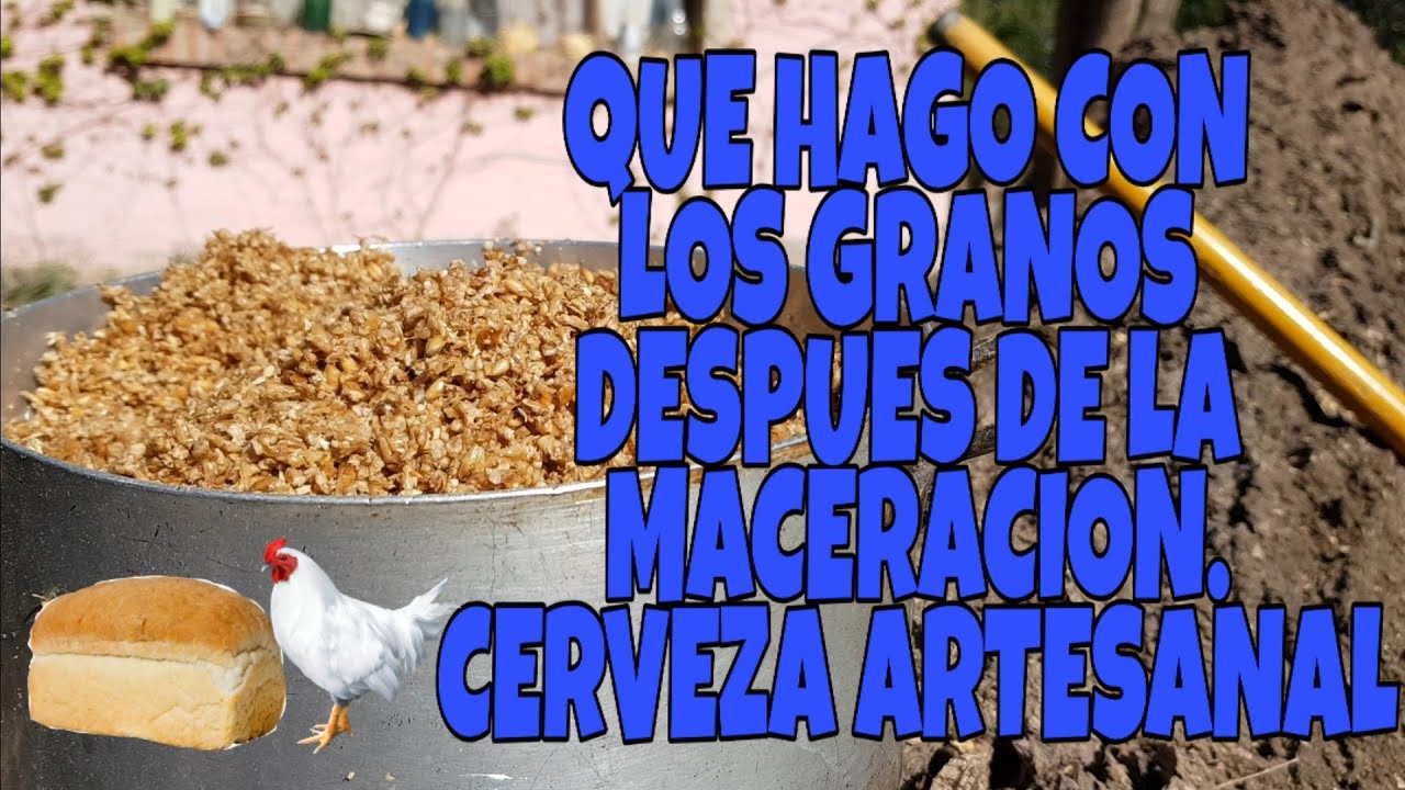 Que hago con los Granos después de Macerar | Cerveza Artesanal | La Birra Nostra