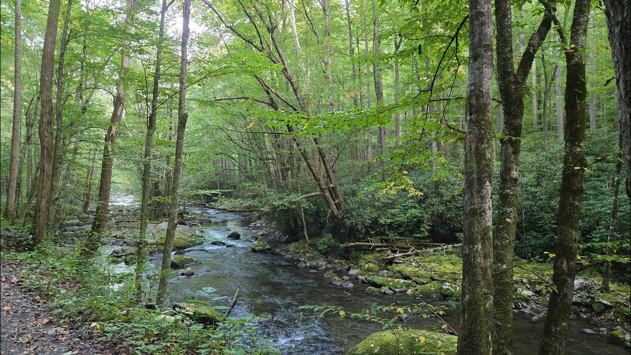 Little River and Cucumber Gap Hike, Elkmont GSMNP