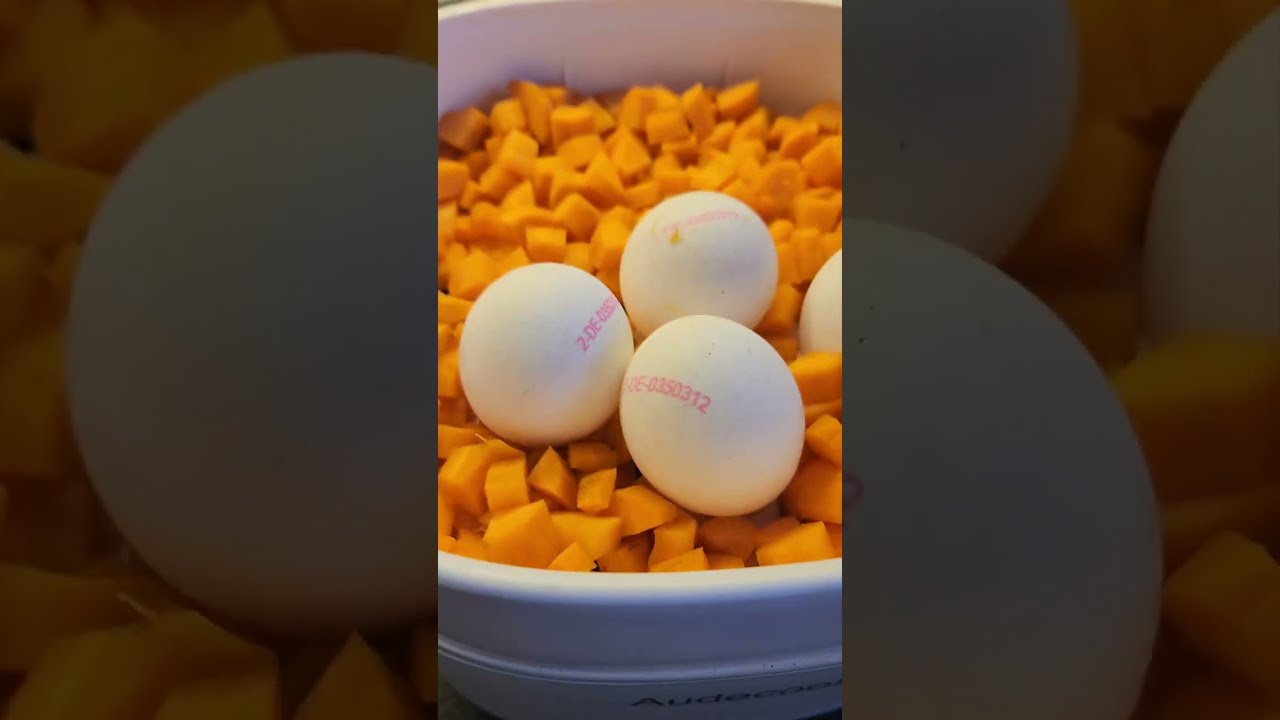 cooking with Audecook