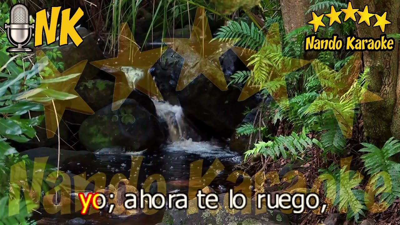 PORQUE NO VALE LA PENA - Los Iracundos Karaoke