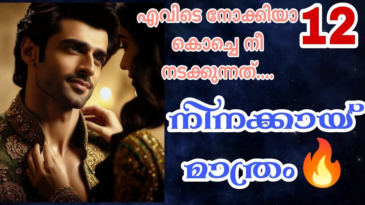 അപ്പോഴേക്കും അവൾ അവൻറെ ദേഹത്തേക്ക് വീണു പോയിരുന്നു...🔥🔥നിനക്കായ് മാത്രം-12🔥🔥
