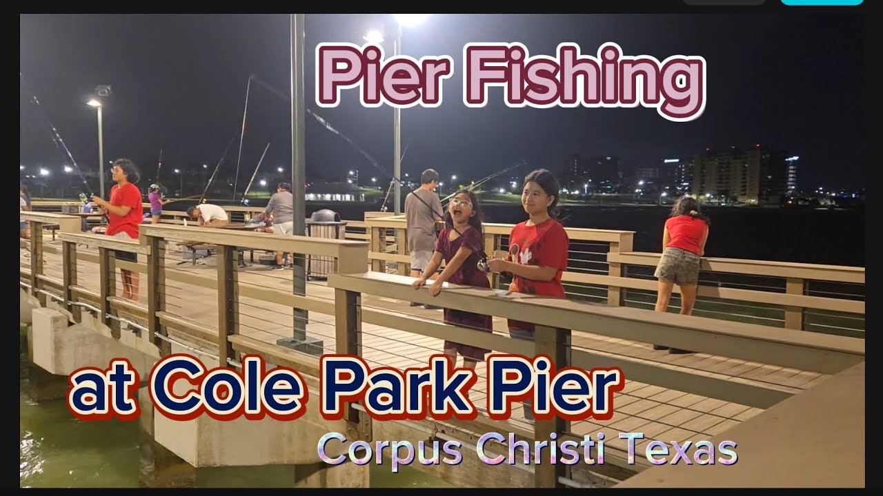 We caught 24 pieces of fish in total from 7:30 pm. until 11pm. at Cole Park Pier Corpus Christi Tx!