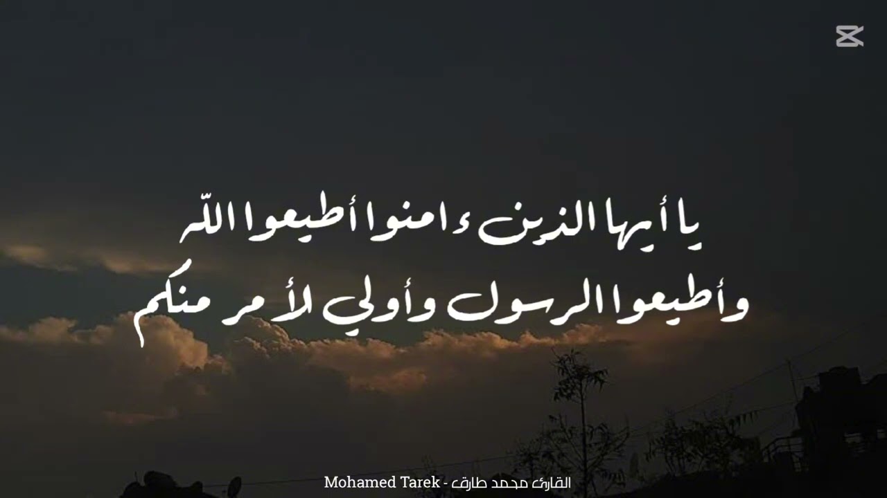 تلاوة طيبه من سورة النساء بصوت القارئ محمد طارق 