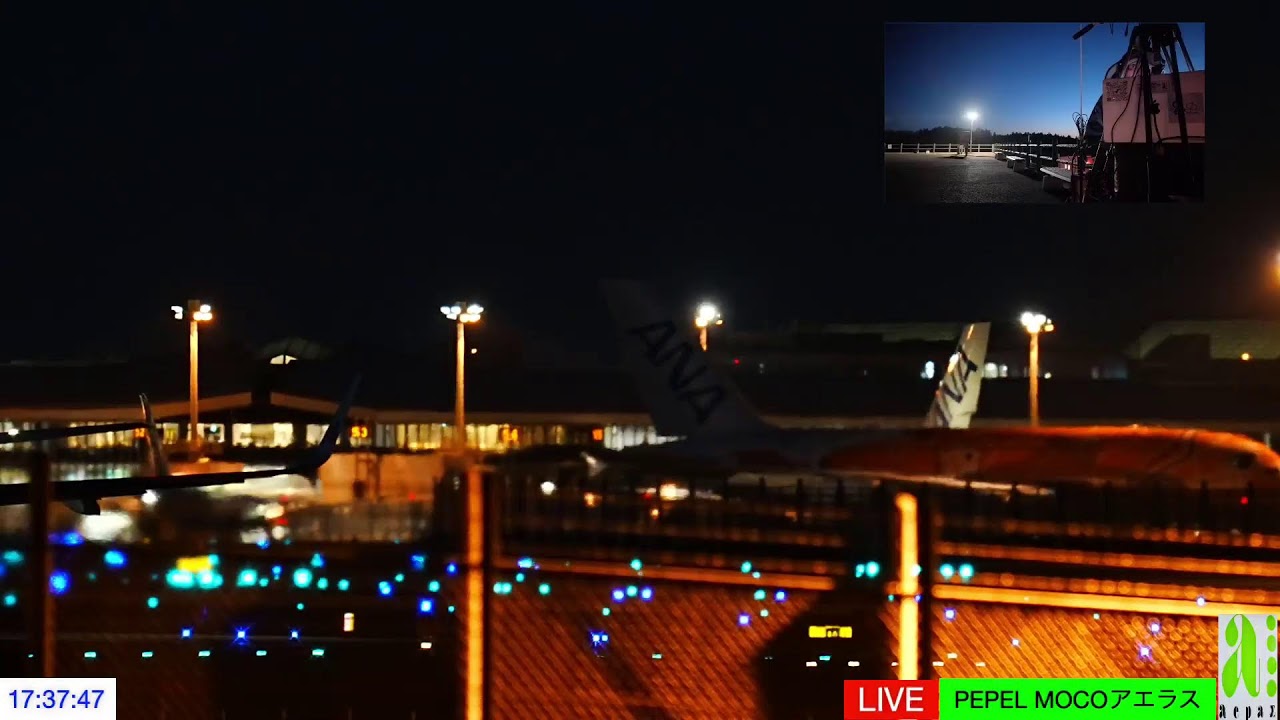 NRT成田空港/25/January/2026