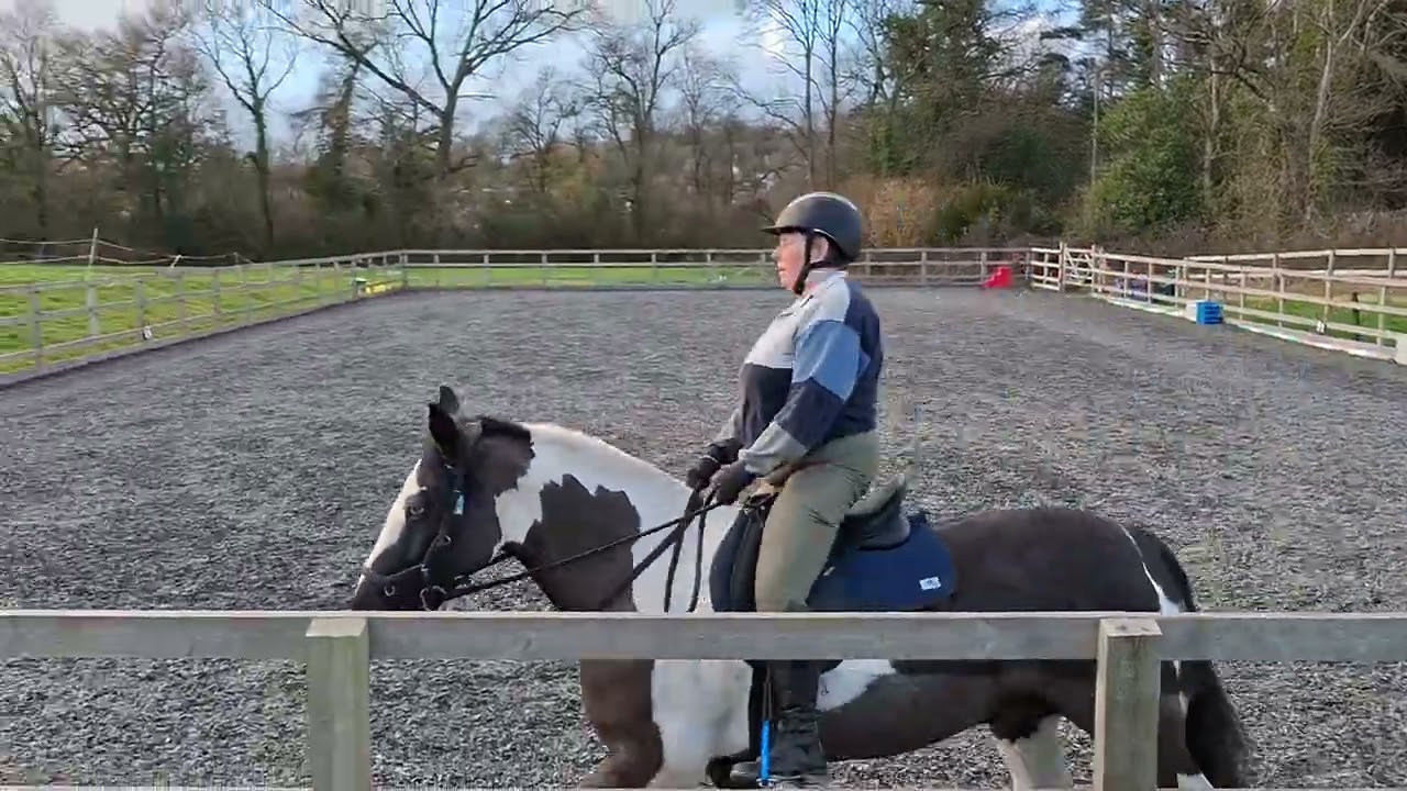 Debbie Pickford Bandito East Mendip Riding Club Prelim 2a February 26