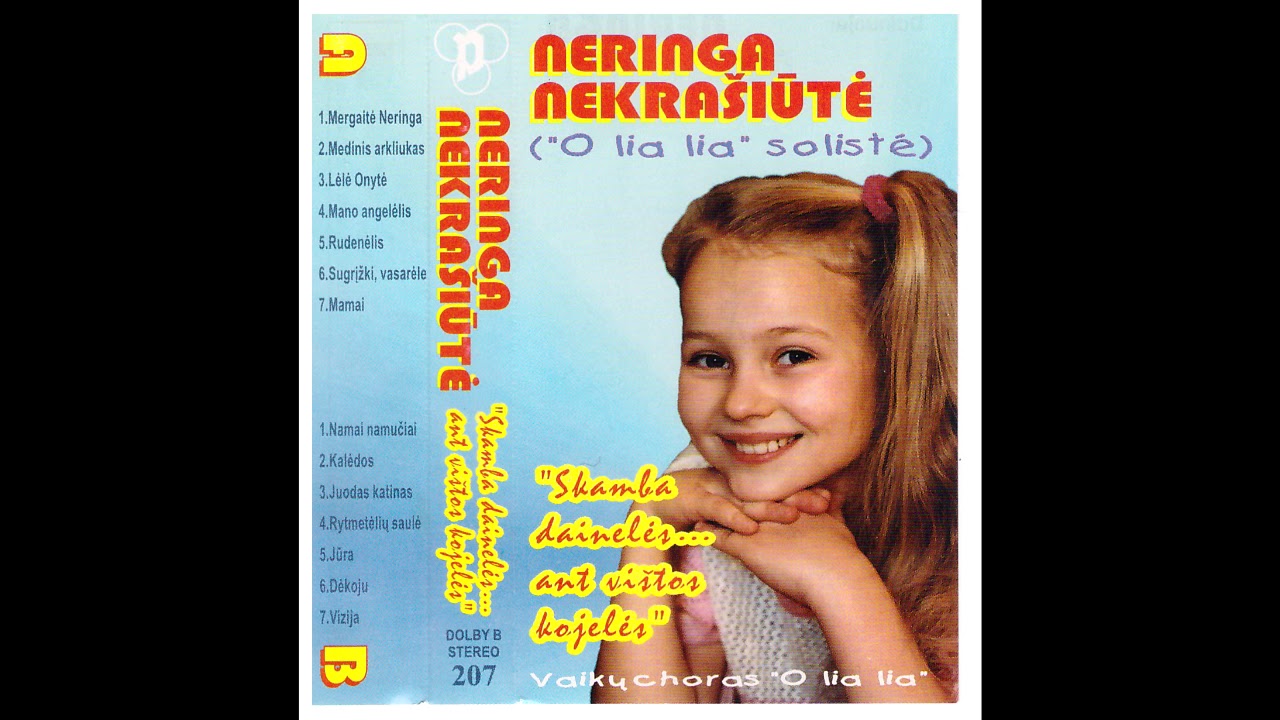 Neringa Nekrašiūtė - Vizija